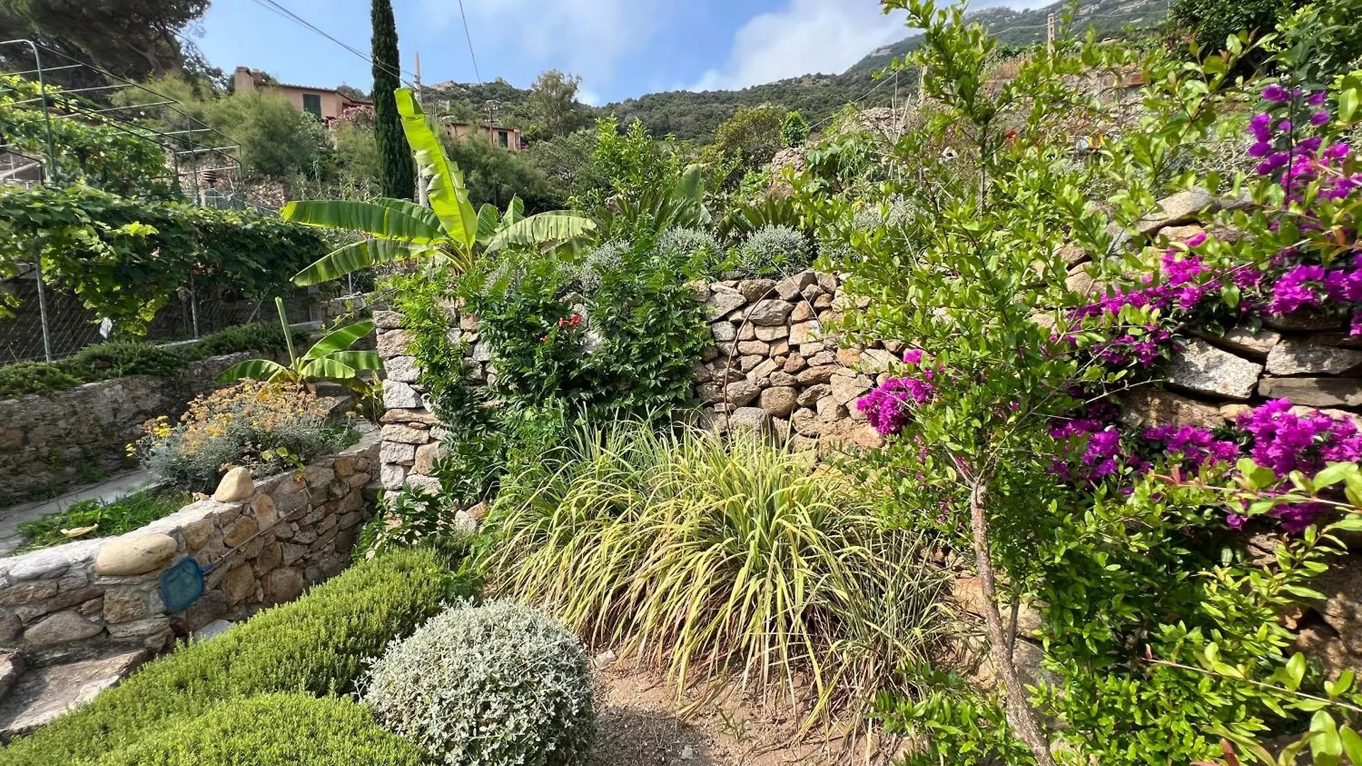 Villa Calypso 8 Pax, By Villasretreats Giglio Porto